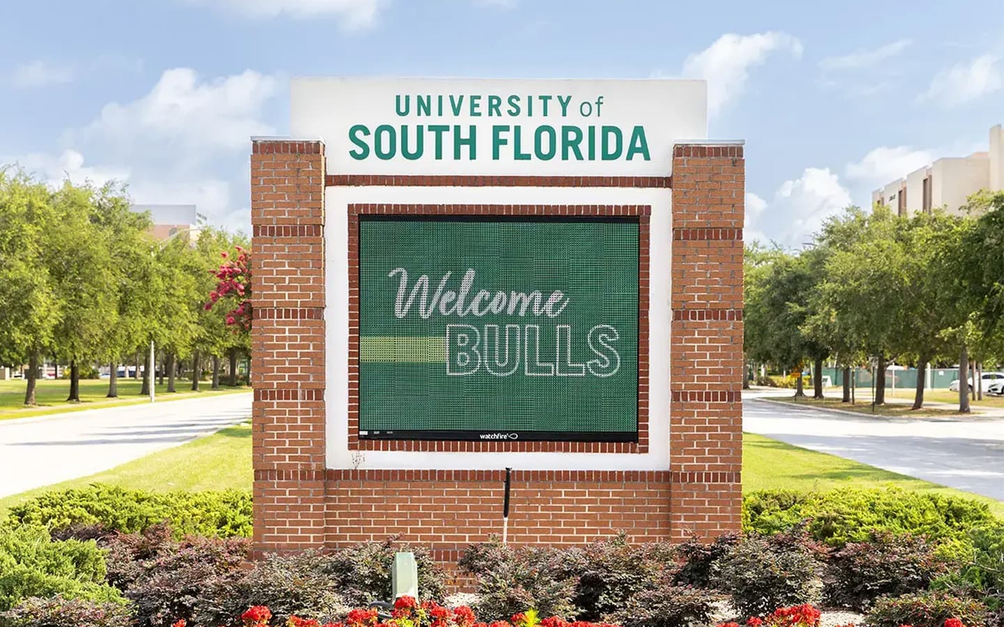 USF-new